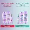 imageLOreal Paris Elvive Hyaluron  Pure Shampoo and Conditioner Set Clarifying Shampoo and Rehydrating Conditioner with Salicylic Acid and Hyaluronic Acid 1 Kit