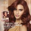 imageLOreal Paris Excellence Universal Nudes Permanent Hair Color Ammonia Free Hair Dye for Gray Hair Coverage 4NR Natural Dark Red 1 Hair Dye KitCore Natural Dark Red