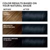 imageLOreal Paris Feria MultiFaceted Shimmering Permanent Hair Color High Intensity Hair Dye for 3X Highlights 10 Jet Black Blackest Black 1 Hair Dye Kit21 Starry Night Bright Black