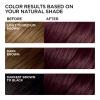 imageLOreal Paris Feria MultiFaceted Shimmering Permanent Hair Color High Intensity Hair Dye for 3X Highlights 10 Jet Black Blackest Black 1 Hair Dye Kit36 Deep Burgundy Brown Chocolate Cherry
