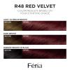 imageLOreal Paris Feria MultiFaceted Shimmering Permanent Hair Color High Intensity Hair Dye for 3X Highlights 10 Jet Black Blackest Black 1 Hair Dye KitR48 Red Velvet Intense Deep Auburn