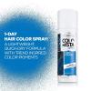 imageLOreal Paris Colorista 1Day Washable Temporary Hair Color Spray Silver 2 OunceBlue