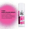imageLOreal Paris Colorista 1Day Washable Temporary Hair Color Spray Silver 2 OunceHot Pink