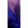 imageLOreal Paris Colorista 1Day Washable Temporary Hair Color Spray Silver 2 OuncePurple