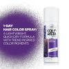 imageLOreal Paris Colorista 1Day Washable Temporary Hair Color Spray Silver 2 OuncePurple