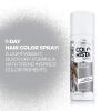 imageLOreal Paris Colorista 1Day Washable Temporary Hair Color Spray Silver 2 OunceSilver