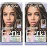 imageLOreal Paris Feria LongLasting Anti Brass Power Hair Toner Ammonia Free Demi Permanent Hair Color Ice Blonde Hair Toner 1 ApplicationIced Brunette