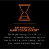 imageLOreal Paris Men Expert One Twist Mess Free Permanent Hair Color Mens Hair Dye to Cover Grays Easy Mix Ammonia Free Application Light Brown 06 1 Application Kit07 Dark BlondeH15