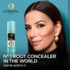 imageLOreal Paris Root Cover Up Temporary Gray Concealer Spray Dark Brown 2 Oz Pack of 2 Packaging May VaryDark Blonde