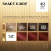 imageLOreal Paris Superior Preference FadeDefying  Shine Permanent Hair Color 6AM Light Amber Brown Pack of 1 Hair Dye4R Dark Auburn
