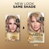 imageLOreal Paris Superior Preference FadeDefying  Shine Permanent Hair Color 6AM Light Amber Brown Pack of 1 Hair Dye75A Medium Ash Blonde