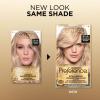 imageLOreal Paris Superior Preference FadeDefying  Shine Permanent Hair Color 6AM Light Amber Brown Pack of 1 Hair Dye85A Champagne Blonde