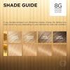 imageLOreal Paris Superior Preference FadeDefying  Shine Permanent Hair Color 6AM Light Amber Brown Pack of 1 Hair Dye8G Golden Blonde