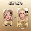 imageLOreal Paris Superior Preference FadeDefying  Shine Permanent Hair Color 6AM Light Amber Brown Pack of 1 Hair Dye9A Light Ash Blonde