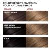 imageLOreal Paris Superior Preference FadeDefying  Shine Permanent Hair Color 6AM Light Amber Brown Pack of 1 Hair DyeUL61 HiLift Ash Brown