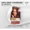 imageLOreal Paris Excellence Universal Nudes Permanent Hair Color Ammonia Free Hair Dye for Gray Hair Coverage 7N Natural Dark Blonde 1 Kit Pack of 2Core Natural Dark Red