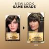 imageLOreal Paris Superior Preference Luminous FadeDefying Permanent Hair Color Hair Dye For Up to 9 Weeks of Radiance 6AM Light Amber Brown 1 Kit Pack of 24A Dark Ash Brown
