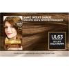 imageLOreal Paris Superior Preference Luminous FadeDefying Permanent Hair Color Hair Dye For Up to 9 Weeks of Radiance 6AM Light Amber Brown 1 Kit Pack of 2U163 HiLift Gold Brown