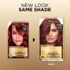 imageLOreal Paris Superior Preference Luminous FadeDefying Permanent Hair Color Hair Dye For Up to 9 Weeks of Radiance 6AM Light Amber Brown 1 Kit Pack of 2RR04 Intense Dark Red