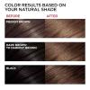 imageLOreal Paris Superior Preference Luminous FadeDefying Permanent Hair Color Hair Dye For Up to 9 Weeks of Radiance 6AM Light Amber Brown 1 Kit Pack of 2UL51 HiLift Natural Brown