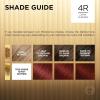 imageLOreal Paris Superior Preference Luminous FadeDefying Permanent Hair Color Hair Dye For Up to 9 Weeks of Radiance 6AM Light Amber Brown 1 Kit Pack of 24R Dark Auburn