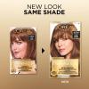 imageLOreal Paris Superior Preference Luminous FadeDefying Permanent Hair Color Hair Dye For Up to 9 Weeks of Radiance 6AM Light Amber Brown 1 Kit Pack of 26AM Light Amber Brown