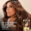 imageLOreal Paris Superior Preference Luminous FadeDefying Permanent Hair Color Hair Dye For Up to 9 Weeks of Radiance 6AM Light Amber Brown 1 Kit Pack of 26AB Chic Auburn Brown
