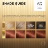 imageLOreal Paris Superior Preference Luminous FadeDefying Permanent Hair Color Hair Dye For Up to 9 Weeks of Radiance 6AM Light Amber Brown 1 Kit Pack of 26R Light Auburn