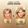 imageLOreal Paris Superior Preference Luminous FadeDefying Permanent Hair Color Hair Dye For Up to 9 Weeks of Radiance 6AM Light Amber Brown 1 Kit Pack of 29GR Golden Reddish Blonde