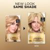 imageLOreal Paris Superior Preference Luminous FadeDefying Permanent Hair Color Hair Dye For Up to 9 Weeks of Radiance 6AM Light Amber Brown 1 Kit Pack of 29G Light Golden Blonde