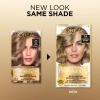 imageLOreal Paris Superior Preference Luminous FadeDefying Permanent Hair Color Hair Dye For Up to 9 Weeks of Radiance 6AM Light Amber Brown 1 Kit Pack of 27A Dark Ash Blonde