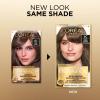 imageLOreal Paris Superior Preference Luminous FadeDefying Permanent Hair Color Hair Dye For Up to 9 Weeks of Radiance 6AM Light Amber Brown 1 Kit Pack of 26C Cool Light Brown