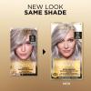 imageLOreal Paris Superior Preference Luminous FadeDefying Permanent Hair Color Hair Dye For Up to 9 Weeks of Radiance 6AM Light Amber Brown 1 Kit Pack of 28S Soft Silver Blonde
