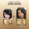 imageLOreal Paris Superior Preference Luminous FadeDefying Permanent Hair Color Hair Dye For Up to 9 Weeks of Radiance 6AM Light Amber Brown 1 Kit Pack of 202 Natural Black