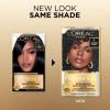 imageLOreal Paris Superior Preference Luminous FadeDefying Permanent Hair Color Hair Dye For Up to 9 Weeks of Radiance 6AM Light Amber Brown 1 Kit Pack of 201 Ultimate Black