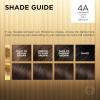 imageLOreal Paris Superior Preference Luminous FadeDefying Permanent Hair Color Hair Dye For Up to 9 Weeks of Radiance 6AM Light Amber Brown 1 Kit Pack of 24A Dark Ash Brown