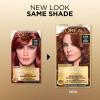 imageLOreal Paris Superior Preference Luminous FadeDefying Permanent Hair Color Hair Dye For Up to 9 Weeks of Radiance 6AM Light Amber Brown 1 Kit Pack of 26AB Chic Auburn Brown