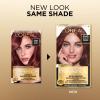imageLOreal Paris Superior Preference Luminous FadeDefying Permanent Hair Color Hair Dye For Up to 9 Weeks of Radiance 6AM Light Amber Brown 1 Kit Pack of 25MB Medium Auburn