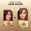 imageLOreal Paris Superior Preference Luminous FadeDefying Permanent Hair Color Hair Dye For Up to 9 Weeks of Radiance 6AM Light Amber Brown 1 Kit Pack of 255AM Medium Copper Brown