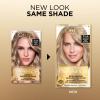 imageLOreal Paris Superior Preference Luminous FadeDefying Permanent Hair Color Hair Dye For Up to 9 Weeks of Radiance 6AM Light Amber Brown 1 Kit Pack of 275A Medium Ash Blonde