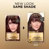 imageLOreal Paris Superior Preference Luminous FadeDefying Permanent Hair Color Hair Dye For Up to 9 Weeks of Radiance 6AM Light Amber Brown 1 Kit Pack of 24SM Dark Soft Mahogany Brown