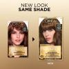 imageLOreal Paris Superior Preference Luminous FadeDefying Permanent Hair Color Hair Dye For Up to 9 Weeks of Radiance 6AM Light Amber Brown 1 Kit Pack of 25CB Medium Chestnut Brown