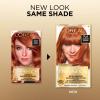 imageLOreal Paris Superior Preference Luminous FadeDefying Permanent Hair Color Hair Dye For Up to 9 Weeks of Radiance 6AM Light Amber Brown 1 Kit Pack of 27LA Lightest Auburn