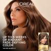 imageLOreal Paris Superior Preference Luminous FadeDefying Permanent Hair Color Hair Dye For Up to 9 Weeks of Radiance 6AM Light Amber Brown 1 Kit Pack of 206 Light Brown