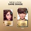 imageLOreal Paris Superior Preference Luminous FadeDefying Permanent Hair Color Hair Dye For Up to 9 Weeks of Radiance 6AM Light Amber Brown 1 Kit Pack of 24M Dark Mahogany Brown
