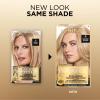 imageLOreal Paris Superior Preference Luminous FadeDefying Permanent Hair Color Hair Dye For Up to 9 Weeks of Radiance 6AM Light Amber Brown 1 Kit Pack of 209 Natural Blonde