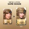 imageLOreal Paris Superior Preference Luminous FadeDefying Permanent Hair Color Hair Dye For Up to 9 Weeks of Radiance 6AM Light Amber Brown 1 Kit Pack of 207 Dark Blonde