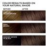 imageLOreal Paris Feria MultiFaceted Shimmering Permanent Hair Color High Intensity Hair Dye for 3X Highlights 515 Chocolate Glaze 1 Kit40 Espresso