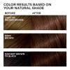 imageLOreal Paris Feria MultiFaceted Shimmering Permanent Hair Color High Intensity Hair Dye for 3X Highlights 515 Chocolate Glaze 1 Kit45 French Roast