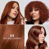 imageLOreal Paris Feria MultiFaceted Shimmering Permanent Hair Color High Intensity Hair Dye for 3X Highlights 515 Chocolate Glaze 1 Kit54 Spiced Copper